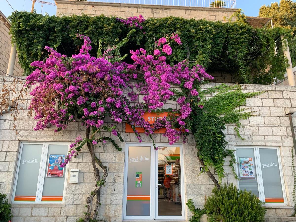 Apartment Vent Dubrovnik Ngoại thất bức ảnh